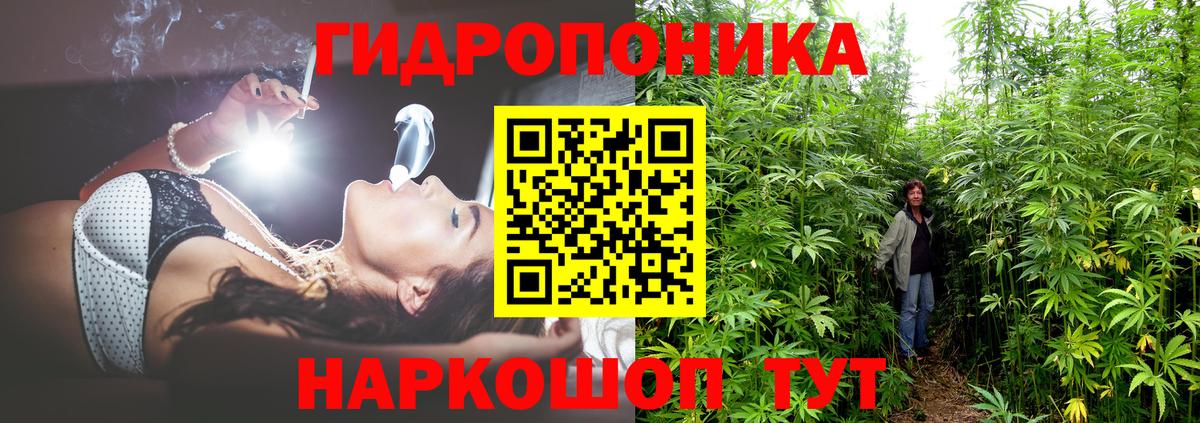 Бошки марихуана семена Благовещенск